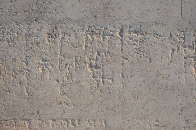 Coloring and Staining